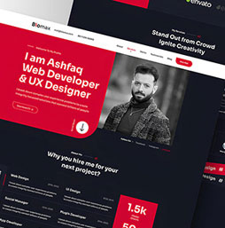 Website Designing Company Delhi